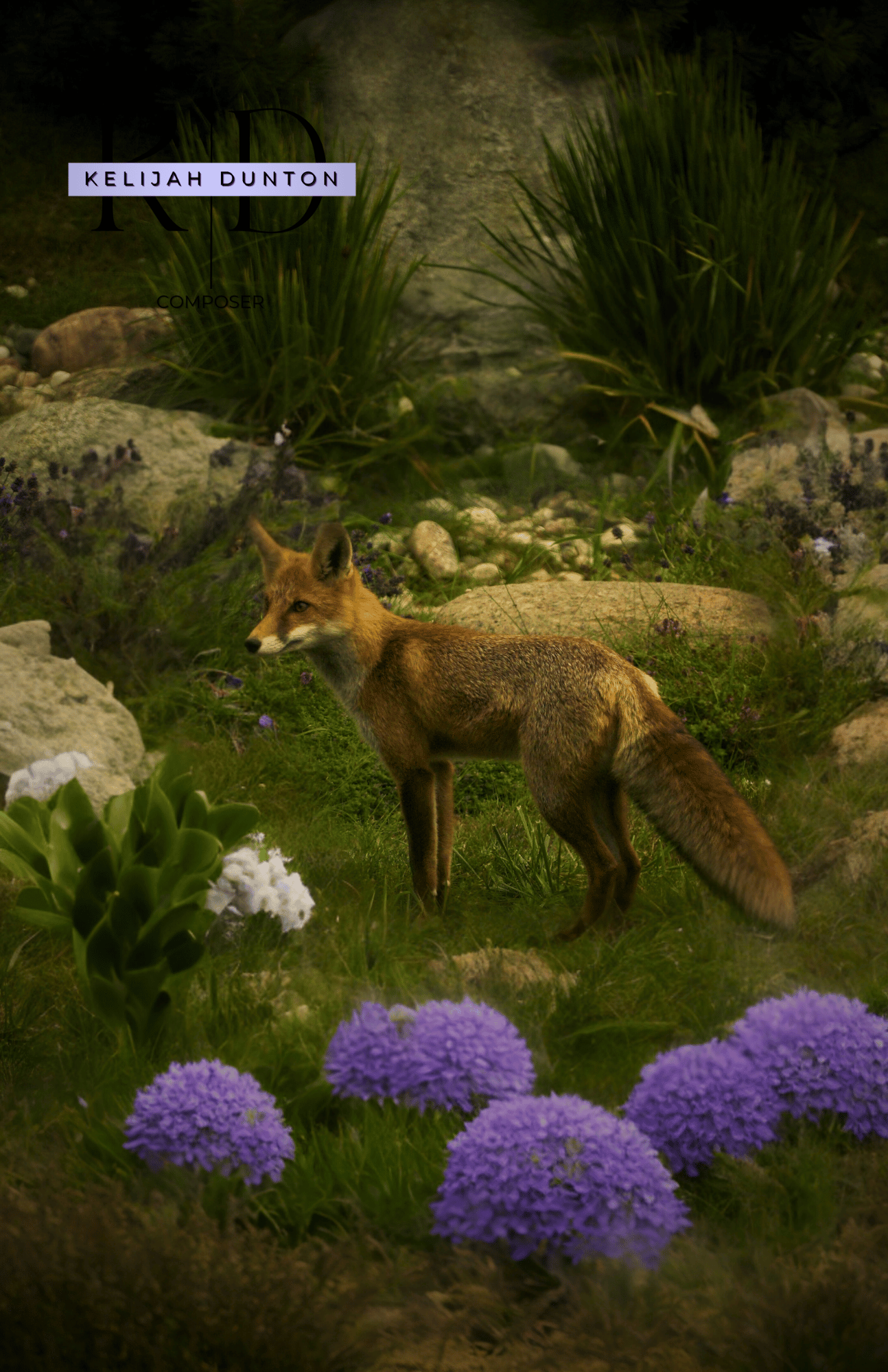 Fox in the Flowerbed (2024) Coming Soon